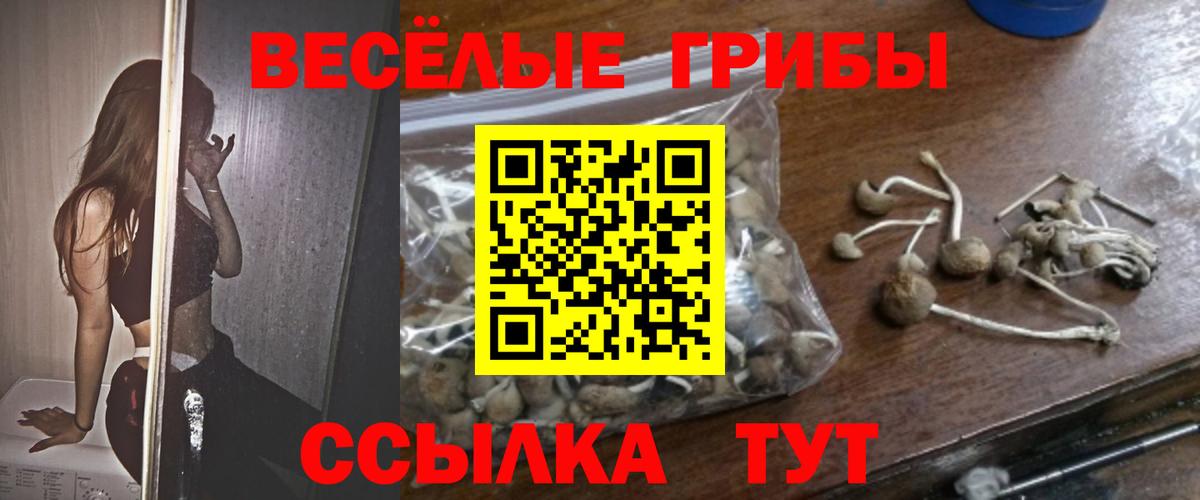 цены   Галлюциногенные грибы мухоморы  Вход с VPN  Псилоцибиновые грибы GOLDEN TEACHER  Дедовск 
