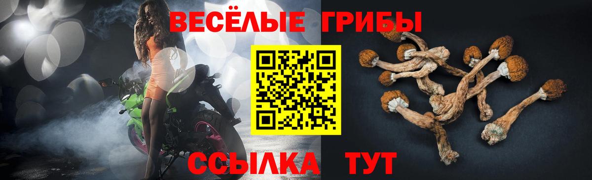 Галлюциногенные грибы GOLDEN TEACHER Дедовск